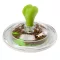 Ferplast Carousel- toy for cat