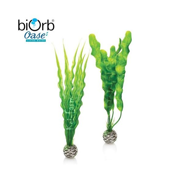 Vízinövény dekoráció – zöld – közepes – 2db – biOrb