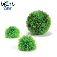Gömb alakú növény dekoráció – 3 db – biOrb