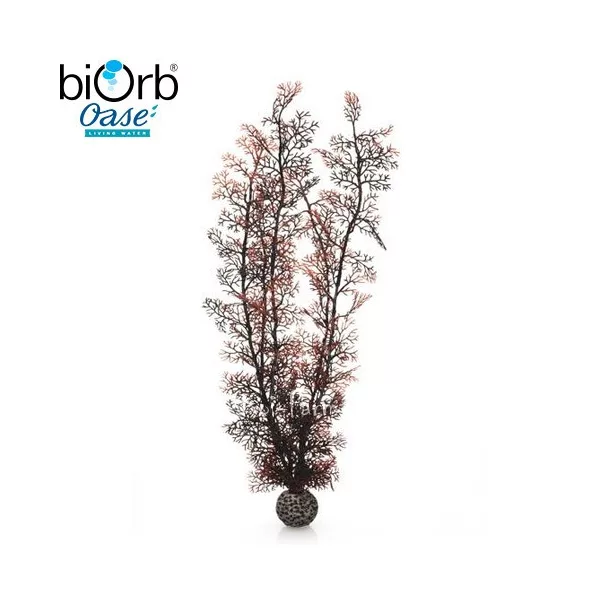 Legyezőkorall dekoráció – vörös – 49 cm – biOrb