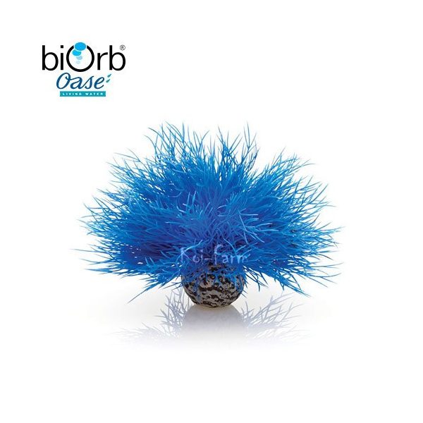 Tengeri liliom dekoráció – kék – 11 cm – biOrb
