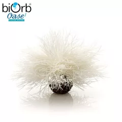 Tengeri liliom dekoráció – fehér – 11 cm – biOrb