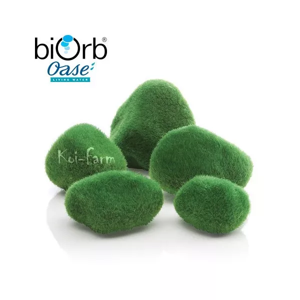 Mohás kavics akváriumba – biOrb