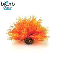   Tengeri liliom dekoráció – narancsvörös – 11 cm – biOrb