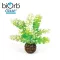 Tengeri alga dekoráció – 10 cm – biOrb