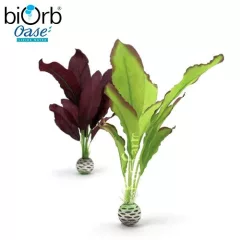   Vízinövény dekoráció – zöld/lila – közepes – biOrb