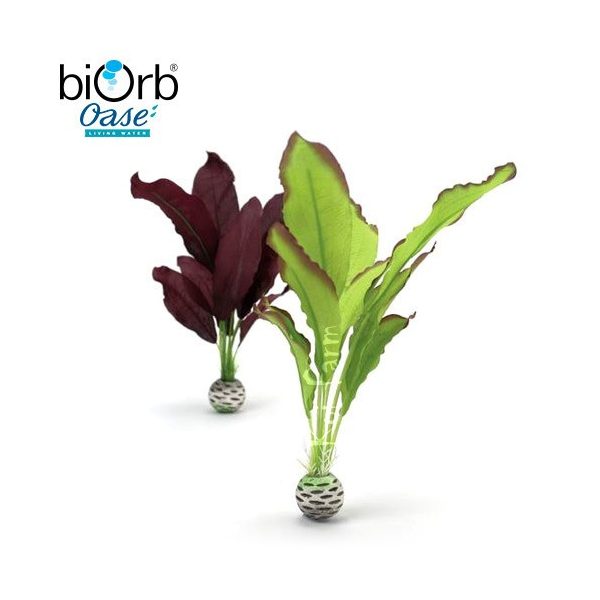 Vízinövény dekoráció – zöld/lila – közepes – biOrb