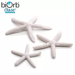 Tengeri csillag dekoráció – 3 db – fehér – biOrb