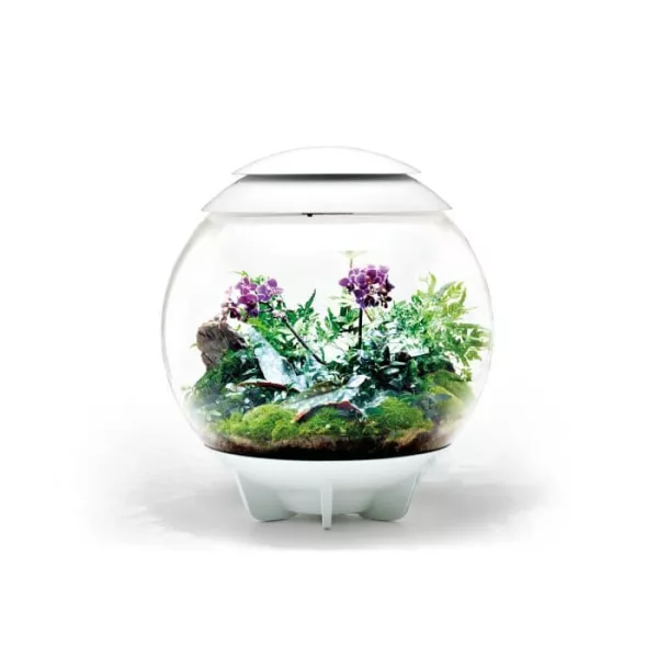biOrb AIR 60 Fehér - dekorációs terrárium