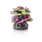 biOrb Coral ridge ornament green-purple