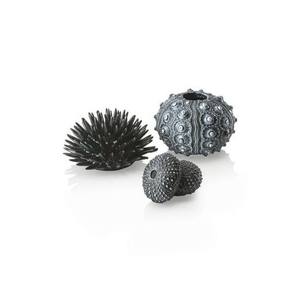 biOrb Sea urchins set black