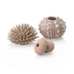 biOrb Sea urchins set natural