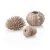 biOrb Sea urchins set natural