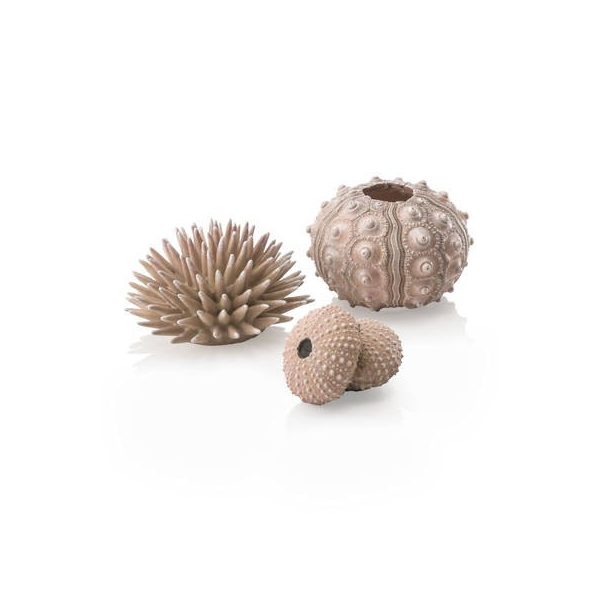 biOrb Sea urchins set natural