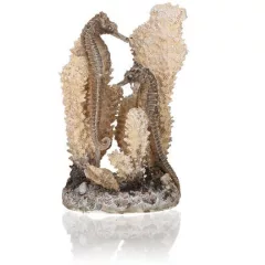 biOrb Seahorses on coral natural S
