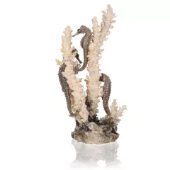 biOrb Seahorses on coral natural M