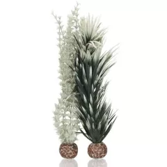 biOrb Ambulia grey/green M