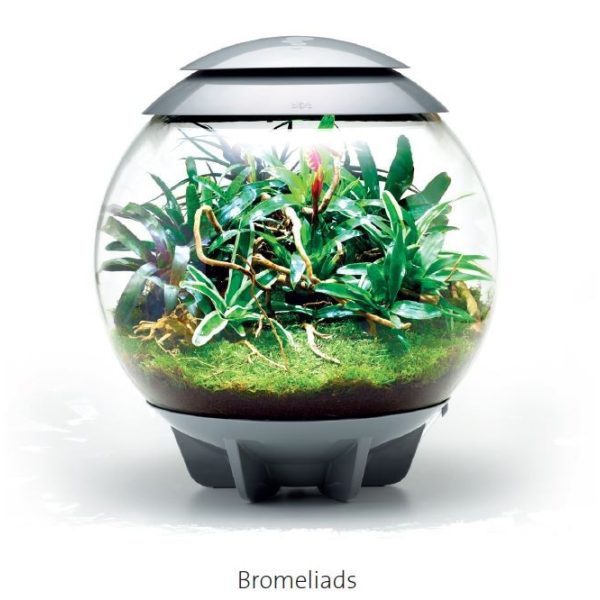 biOrb AIR 60 - Bromeliad