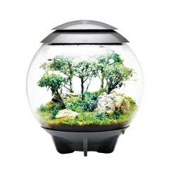 biOrb AIR 60 - Bonsai