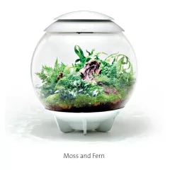 biOrb AIR 30 fehér - dekorációs terrárium