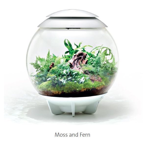 biOrb AIR 30 fehér - dekorációs terrárium