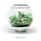 biOrb AIR 30 fehér - dekorációs terrárium