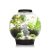 biOrb Classic akvárium 30 liter - LED - fekete