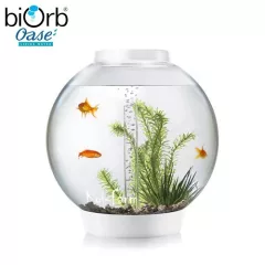 biOrb Classic akvárium 30 liter - LED - fehér