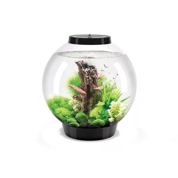 biOrb Classic  MCR akvárium 30 liter - színes LED - fekete