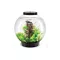 biOrb Classic  MCR akvárium 30 liter - színes LED - fekete