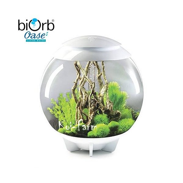 biOrb HALO 60 akvárium szett LED világítással - 60 liter - fehér - Moonlight