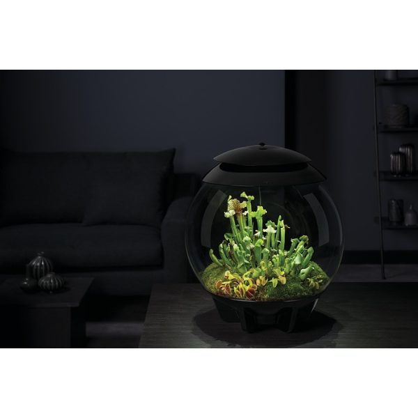 biOrb AIR 30 fekete - dekorációs terrárium
