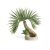 biOrb palm tree Seychelle S
