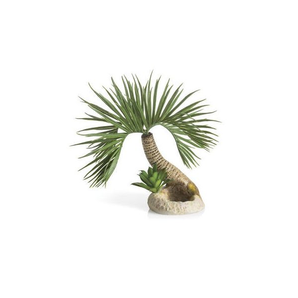 biOrb palm tree Seychelle S