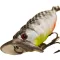 Frenetic Wobbler Gruber 4cm 4g fehér/szürke
