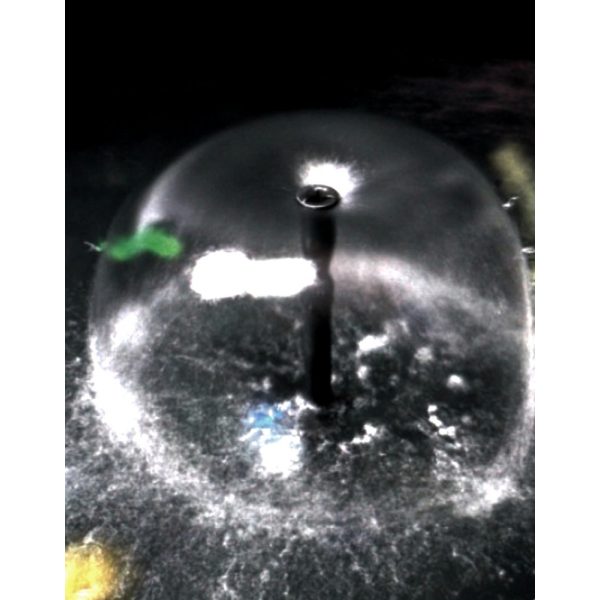 SunSun CHJ-3003 ECO szökőkút szivattyú