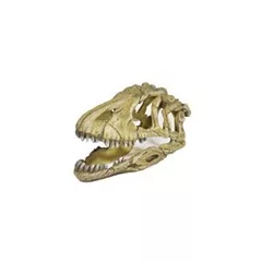 Akvarisztikai dekoráció dínófej nagy