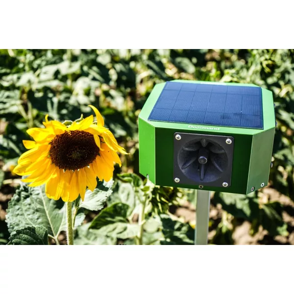 Doxmand VR4 - ultrahangos vadriasztó napelemes