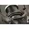 CARP EXPERT SCORE METHOD 6500