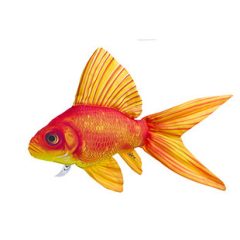 HALAS PÁRNA ARANYHAL 50CM