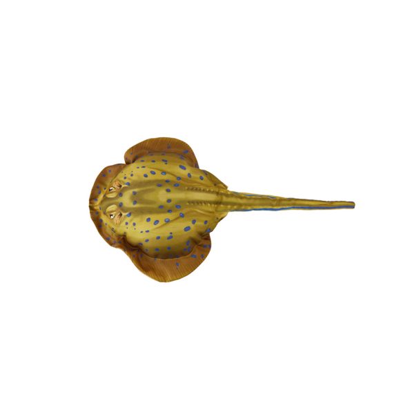 HALAS PÁRNA RÁJA BABY 50CM