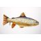 PILLOW THE BROWN TROUT 62 CM