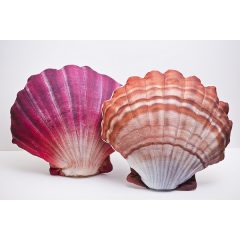 PILLOW THE SCALLOP RED * 45CM