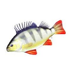 PILLOW THE MONSTER PERCH 160CM