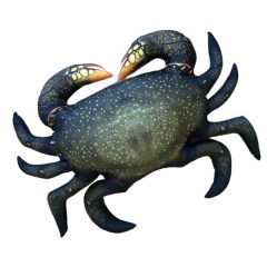 PILLOW THE MUD CRAB 60 CM