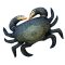 PILLOW THE MUD CRAB 60 CM