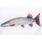 PILLOW THE MUSKELLUNGE 80CM