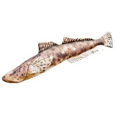 PILLOW THE FLATHEAD 97CM