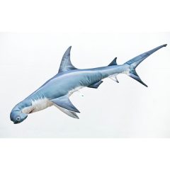 PILLOW THE MONSTER GREAT HAMMERHEAD SHARK    220CM
