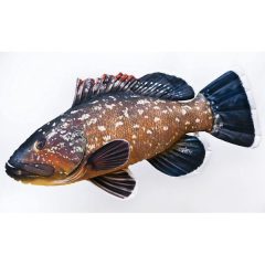 PILLOW THE MONSTER DUSKY GROUPER    160CM